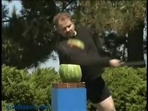 Cold Steel Warrior Series Japanese Swords