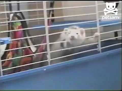 Побег из тюрьмы