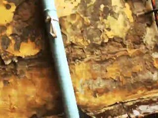 Ленинград — Где моя вода?