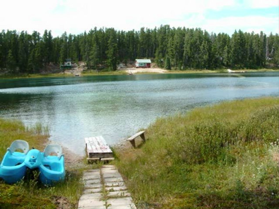 Los Umbrellos - No Tengo Dinero