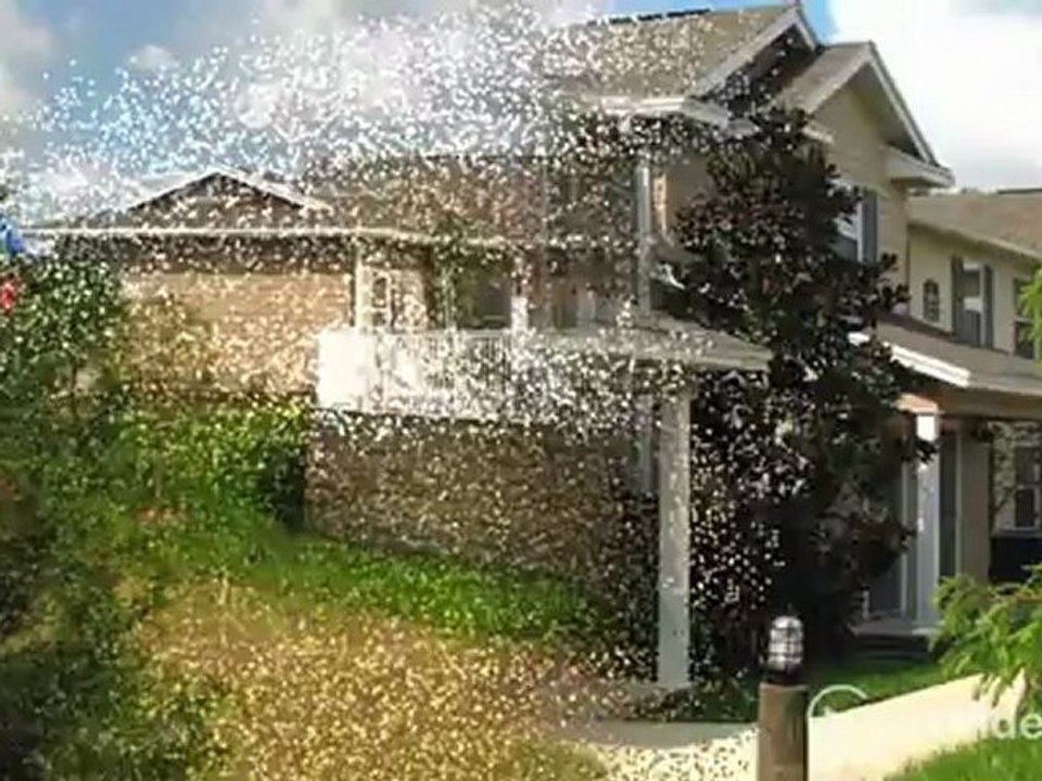 Rolling Acres Club LLC Apartments in Lady Lake, FL - ForRent.com