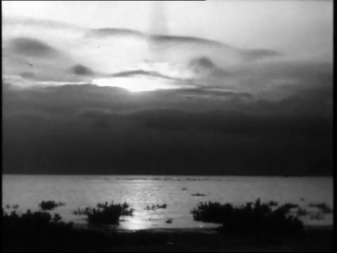 Le sel de la terre 1951 Réalisation : Georges Rouquier, Production : intermondia Film Distributeur : Alliance Générale de Distribution Cinématographique, camargue, digues, stations de pompage, plan Monnet culture du riz auteur de Farrebique & Biquefarre