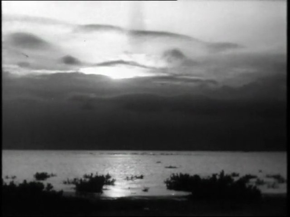 Le sel de la terre 1951 Réalisation : Georges Rouquier, Production : intermondia Film Distributeur : Alliance Générale de Distribution Cinématographique, camargue, digues, stations de pompage, plan Monnet culture du riz auteur de Farrebique & Biquefarre