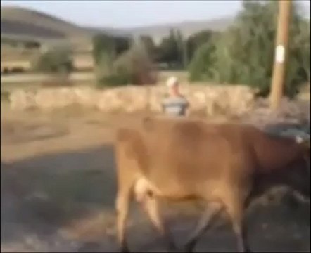 Dışlık Köyü Tanıtım - 10