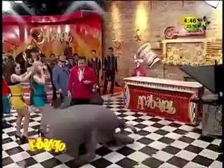 ¡Gaby es El Delfín!