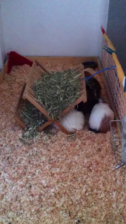 Ca y est, les filles ont réintégré le groupe des mecs