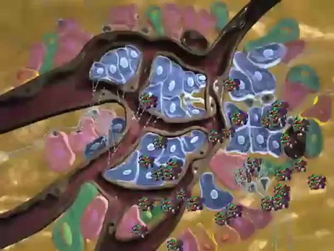 Diabetes (Understanding Disease_ Diabetes & Endocrinology)