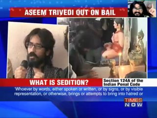 Cartoonist Aseem walks out of jail
