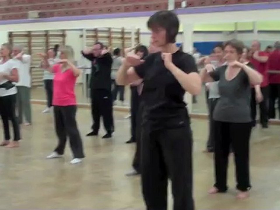 Arras : Vent de Chine organise des cours de Tai Chi Chuan