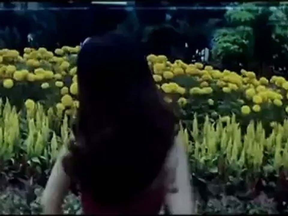 1224.mp4