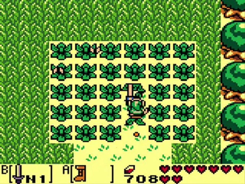 Guide Link's Awakening - Partie 9 : La Baie de Martha