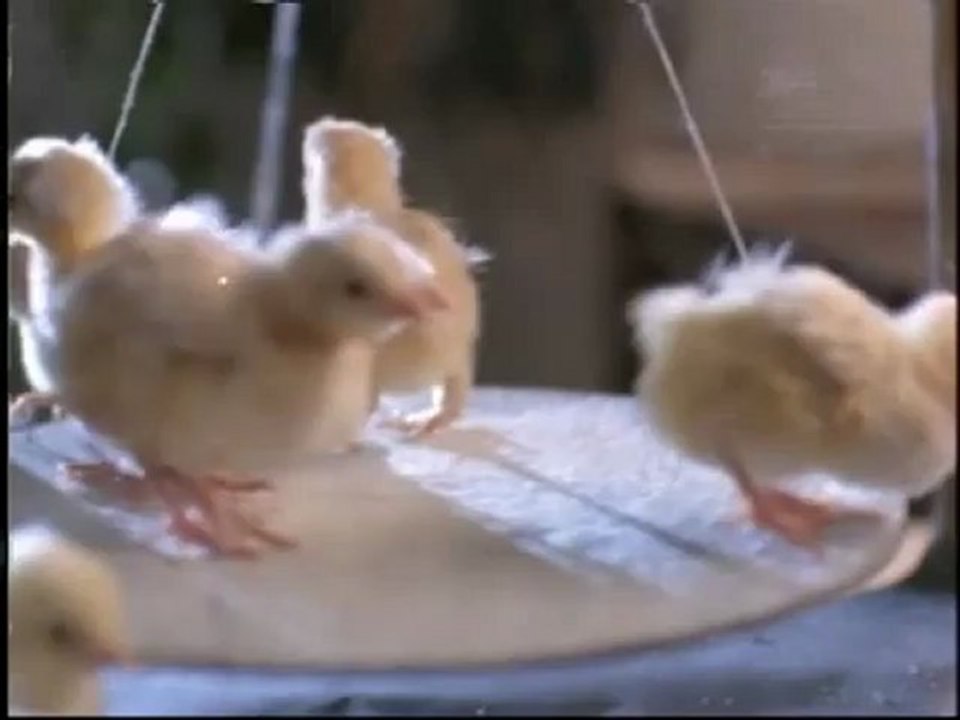 1376.mp4