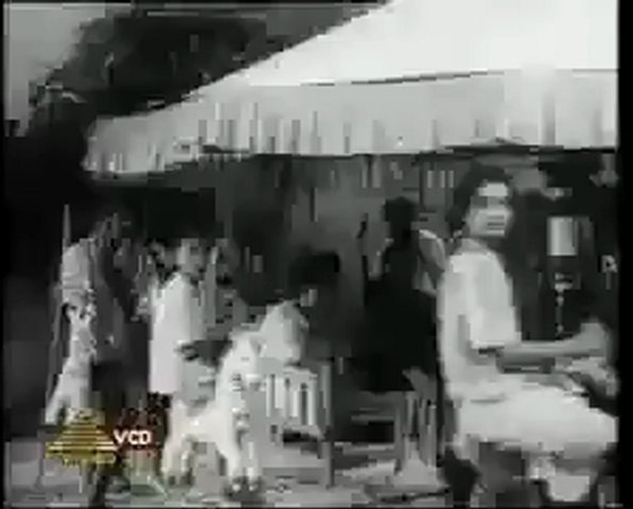 1423.mp4
