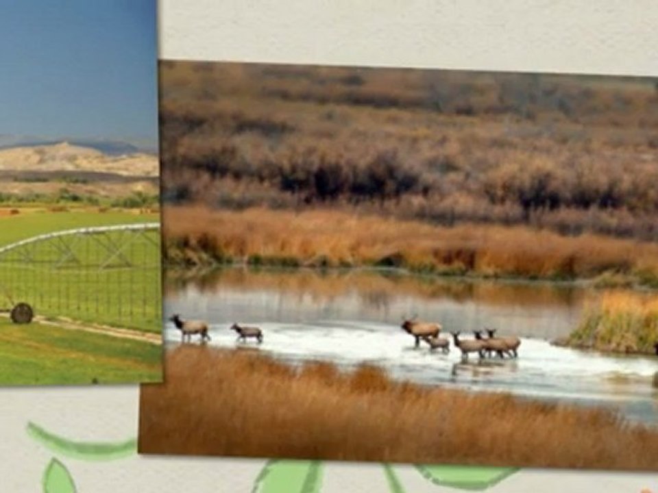 ranches for sale in colorado