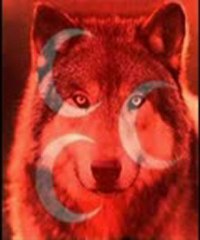 wWw-gülomsesli-com-NAZLIM sunarrrrr GÜLOMMM