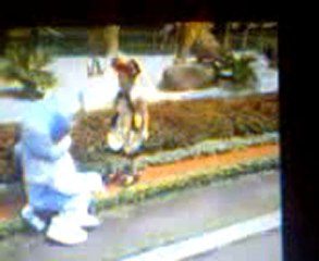 Sửa bình nóng lạnh tại ĐỘI CẤN 0914 112 226