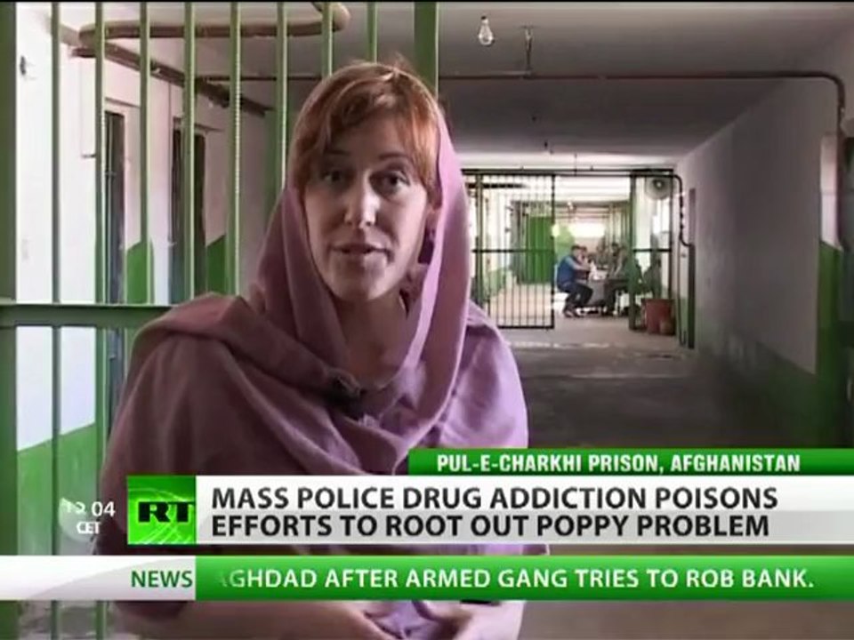 Poppy virus kills crops by half, triples drug prices