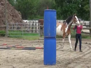 CONCOURS EQUIFEEL MARCOUSSIS 08 05 2012