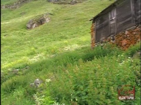 mahmut turan-3- kavrun.tr.gg