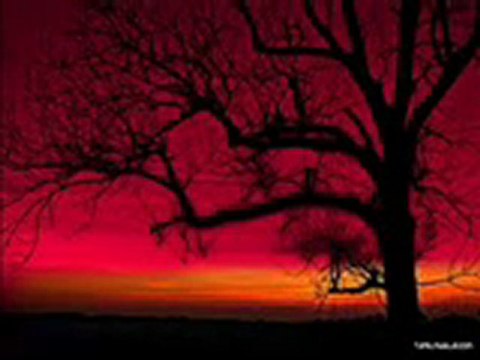 el hadj....3mer...boudjem3a....!! ezzahi milano