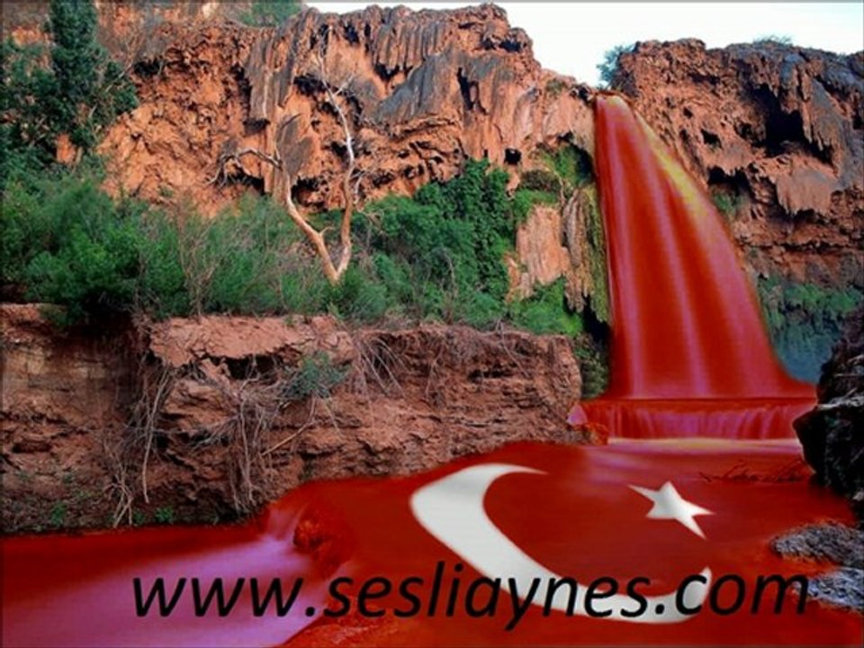 sesliaynes www.sesliaynes.com