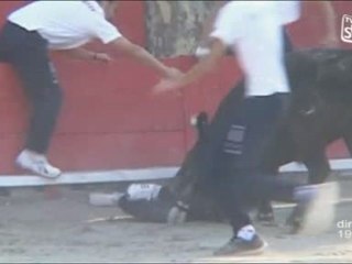 La 8e édition des Graines de Raseteurs (Nîmes)