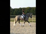 Baelo II - Etalon PRE - 4 ans - 10-09-2012