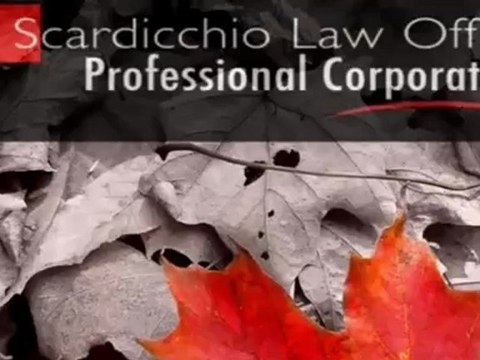 NEED A CRIMINAL LAWYER IN MISSISSAUGA, BRAMPTON OR TORONTO?