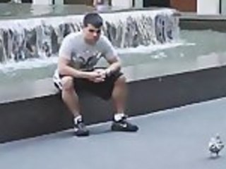 Celebrity Prank Highlights 🎭