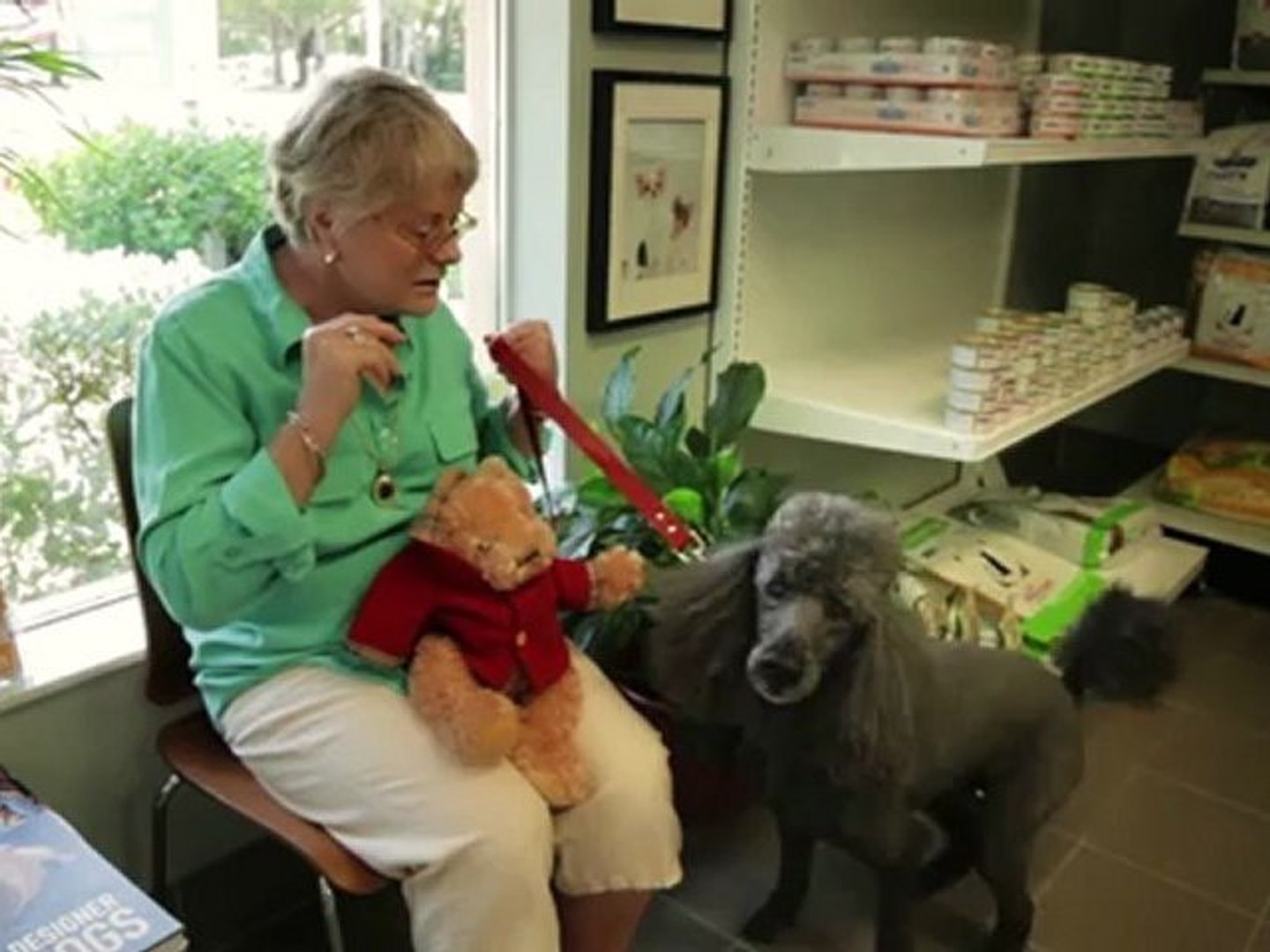 ⁣Welcome to Vero Beach Veterinary