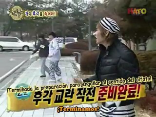 Super Junior Funny Moments (Part 16)