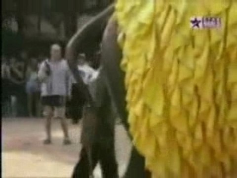 Crottes d'éléphants ^^