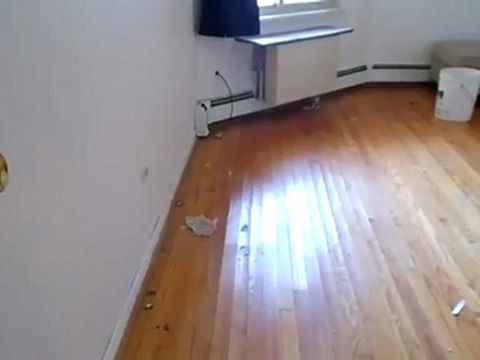 Chicago REO Chicago Foreclosed Homes For Sale