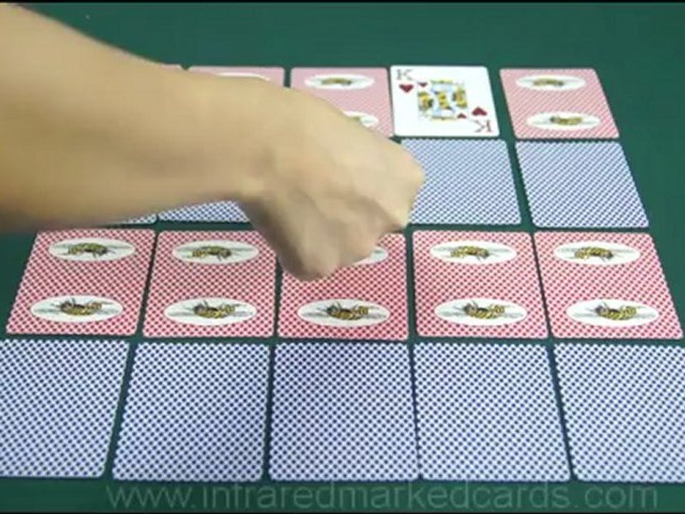PONT-MARQUEE---Bee--marked-cards