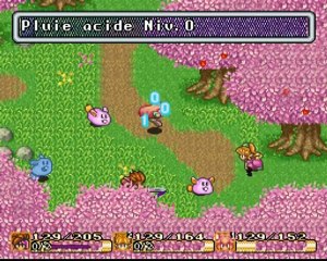 Secret Of Mana [6] Lapynette de garrigue à la sauce chasseur miaou