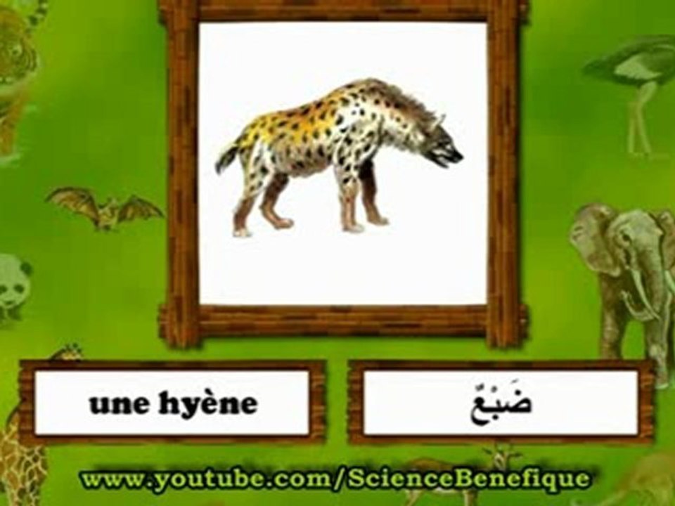 Imagier Bilingue pour les enfants