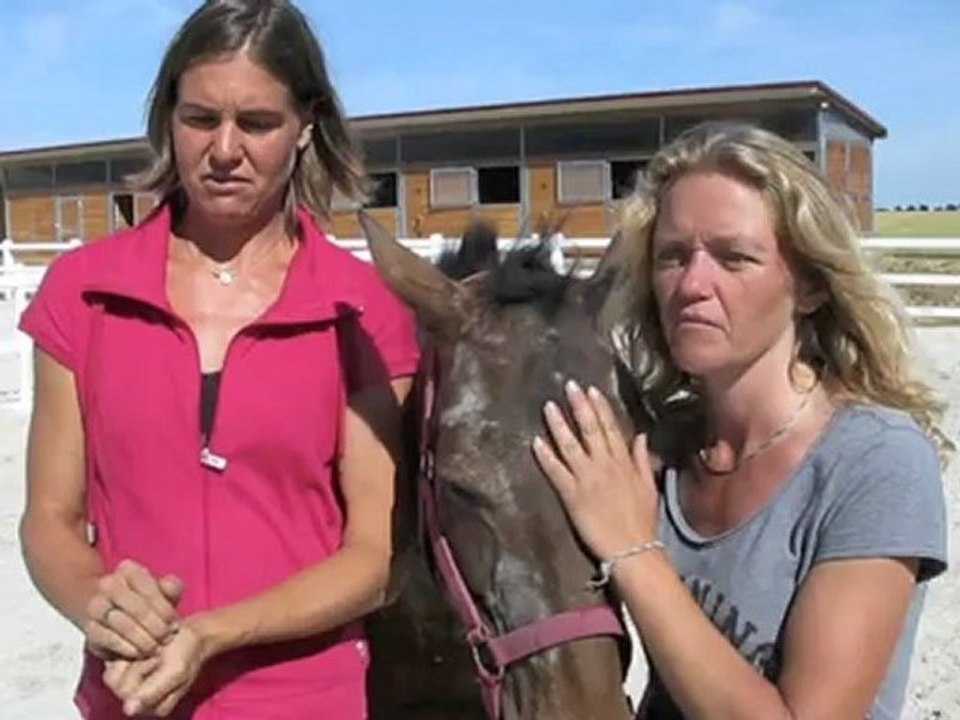 Estrées-Saint-Denis : les Ecuries des Platanes, paradis des chevaux
