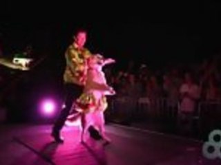 Carrie The Dancing Dog