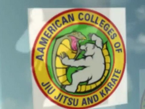 American Colleges of Jiu-Jitsu and Karate - (804) 651-9388