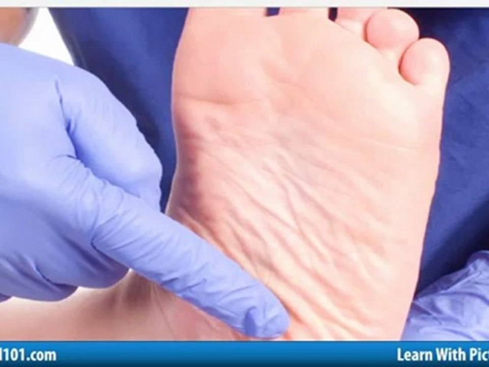 Learn Swedish Vocabulary with Pictures - All Parts of the Body