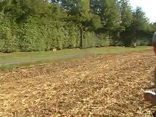 RALLYE DU PAYS D'AUGE 2012 , ES 3 "BONNEBOSQ" 13.700 KMS