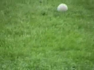 Hélico graupner bell 47 g by fredo1210