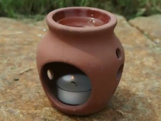 How-To-Get-Rid-of-Mosquitoes-Naturally