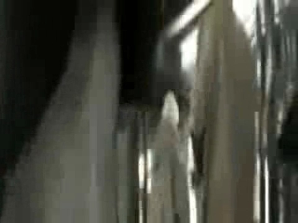 Ness & Cite - International