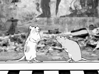 Animals - "Rats"