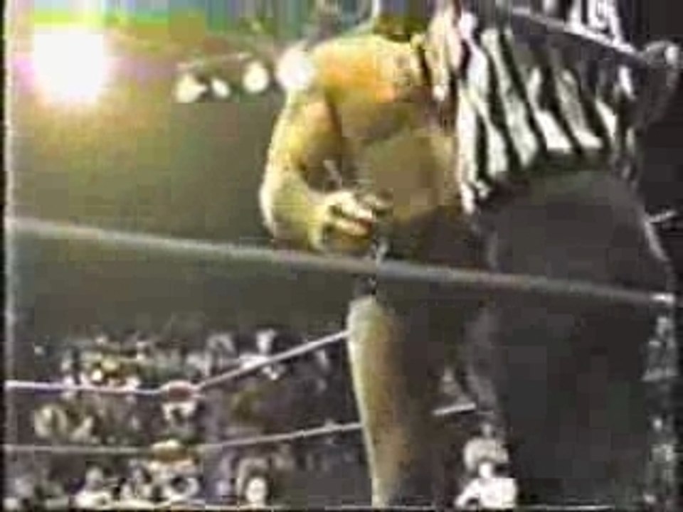 Ric Flair vs Brian Pillman