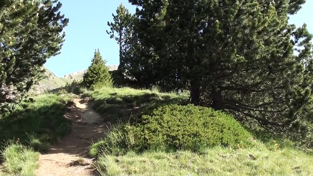 VACANCES 2012 - 26/06 - Pic Alt de la Capa + Pic de Port Vell + Port de Cabus