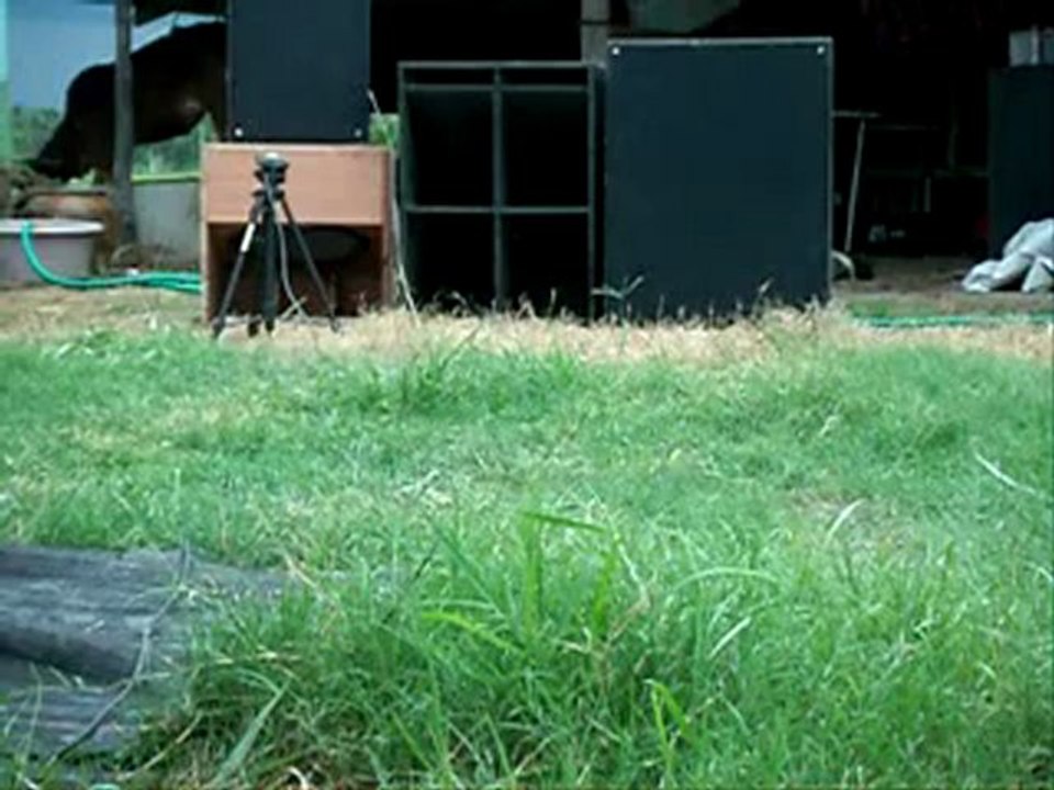 figther V2 with dance song