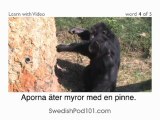 Learn Swedish with Video - How to Talk About Safari Animals in Swedish