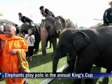 Elephants play polo in the annual King's Cup